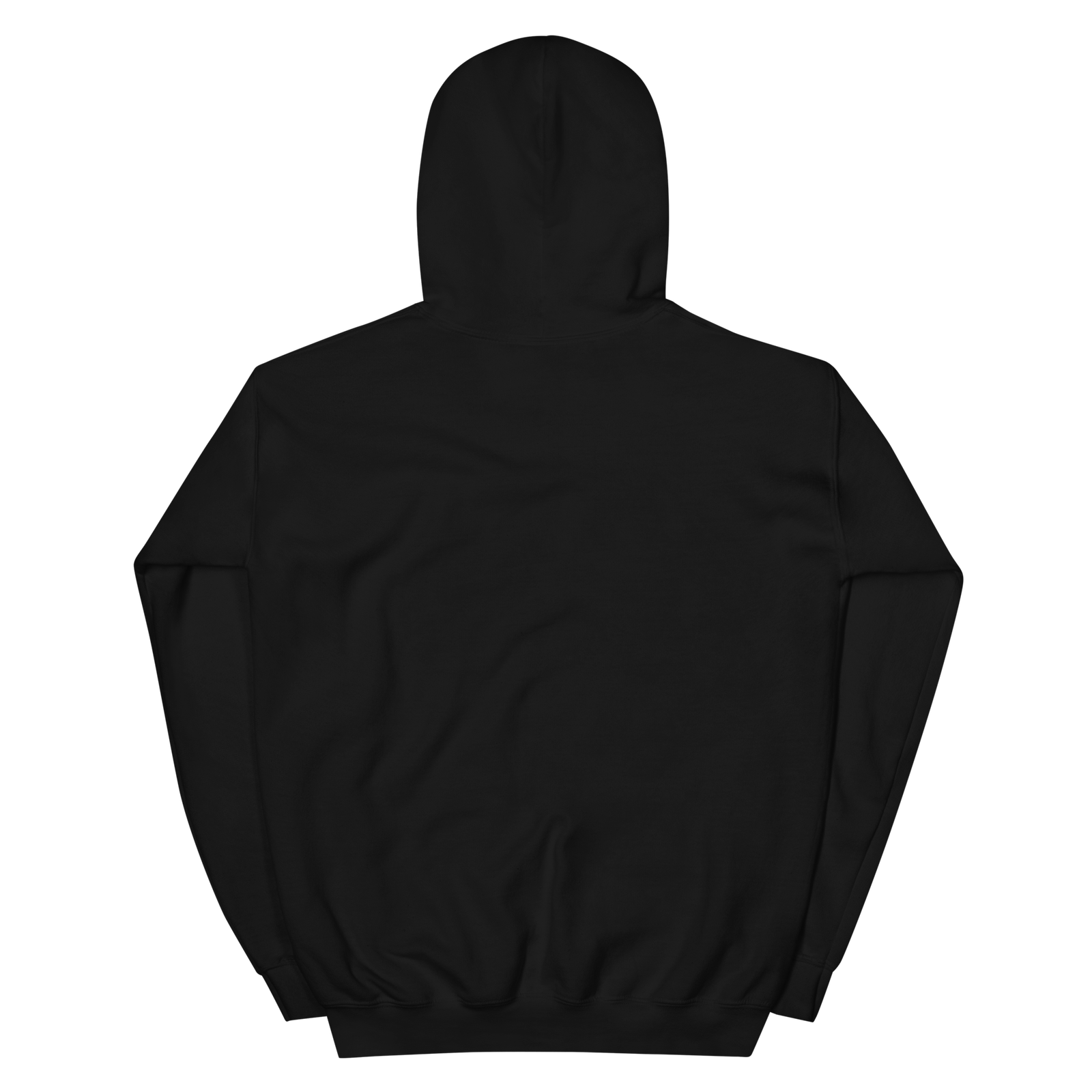IWTNT Every Lifetime Unisex Hoodie - Image 2