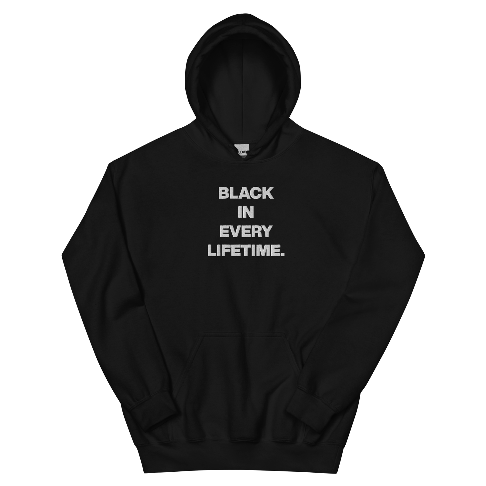 IWTNT Every Lifetime Embroidered Unisex Hoodie