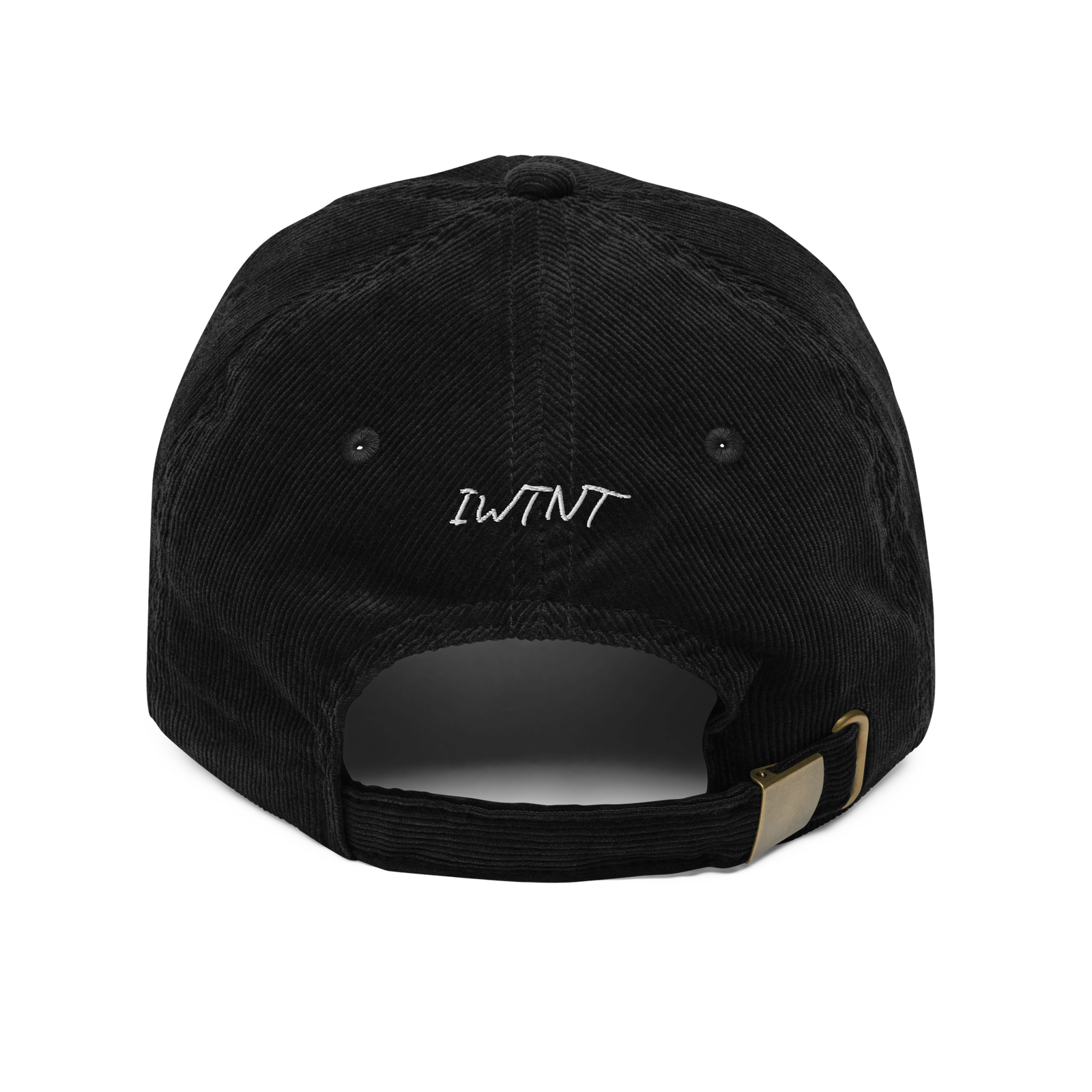 IWTNT Every Lifetime Vintage corduroy cap - Image 2